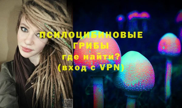 экстази Дмитриев
